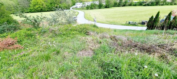 Земельный участок 533м² в Хитцендорф, Австрия № 80967 2