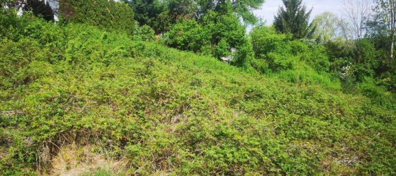 Land in Klosterneuburg, Austria No. 166367 7