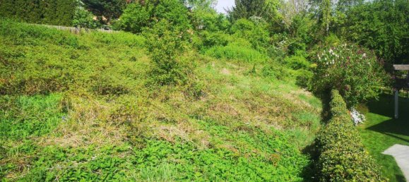 Land in Klosterneuburg, Austria No. 166367 5