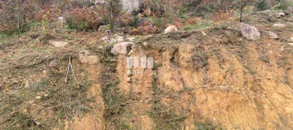 Grundstück in Marco de Canaveses, Portugal 10124m², Nr. 51807 25