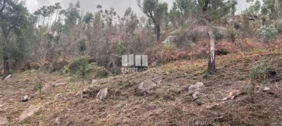 Grundstück in Marco de Canaveses, Portugal 10124m², Nr. 51807 6