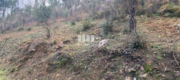 Grundstück in Marco de Canaveses, Portugal 10124m², Nr. 51807 8