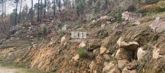 Grundstück in Marco de Canaveses, Portugal 10124m², Nr. 51807 19