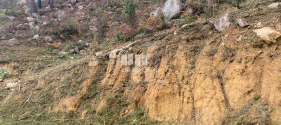 Grundstück in Marco de Canaveses, Portugal 10124m², Nr. 51807 18