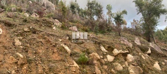 Grundstück in Marco de Canaveses, Portugal 10124m², Nr. 51807 16