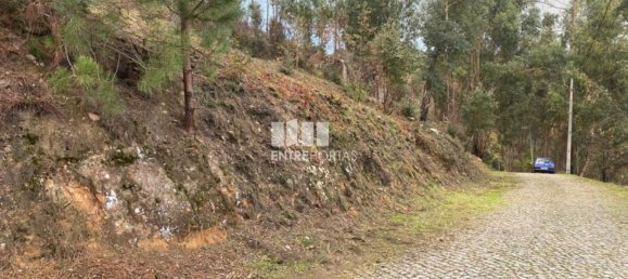 Grundstück in Marco de Canaveses, Portugal 10124m², Nr. 51807 22