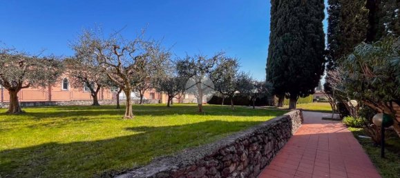 1 bedroom Apartment in Bardolino, Italy No. 268185 5