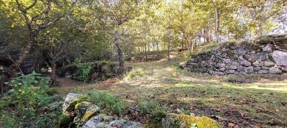 3 bedrooms House in Cabeceiras de Basto, Portugal No. 170019 13