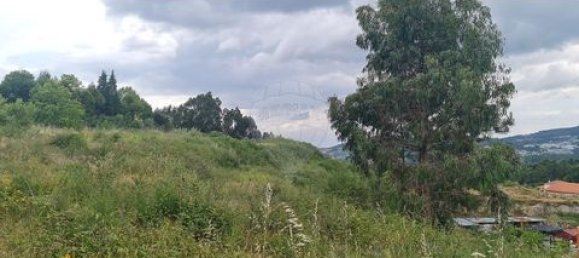 11298m² Land in Fafe, Portugal No. 190120 2