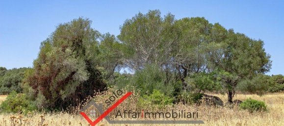 Земельный участок 30000м² в Тельти, Италия № 263864 17