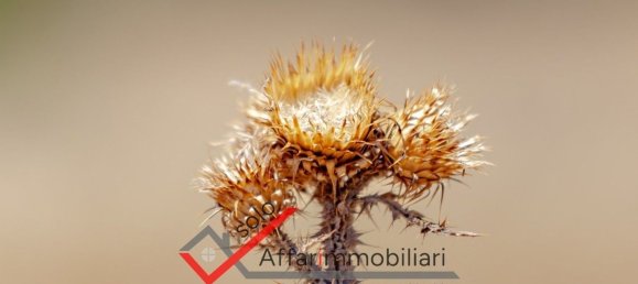 Земельный участок 30000м² в Тельти, Италия № 263864 12