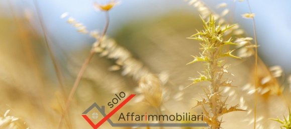 Земельный участок 30000м² в Тельти, Италия № 263864 23