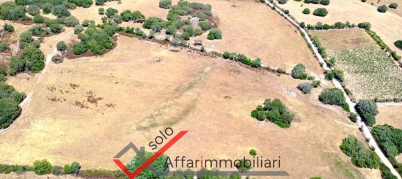 Земельный участок 30000м² в Тельти, Италия № 263864 14