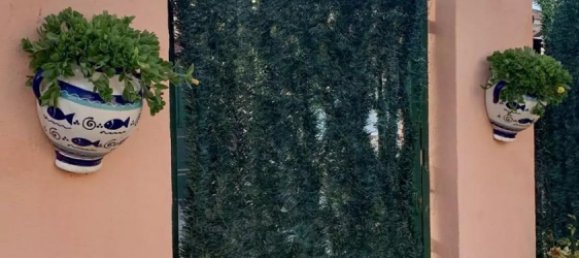 3 Schlafzimmer Bungalow in Los Montesinos, Spain, Nr. 288347 6