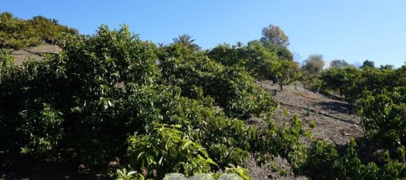 3 bedrooms House in Vinuela, Spain No. 128500 9