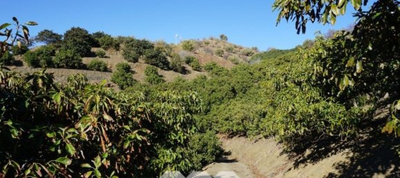 3 bedrooms House in Vinuela, Spain No. 128500 6