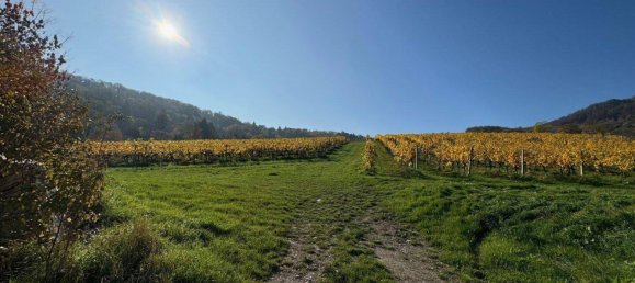3-Zimmer Penthouse in Döbling, Austria, Nr. 135873 5