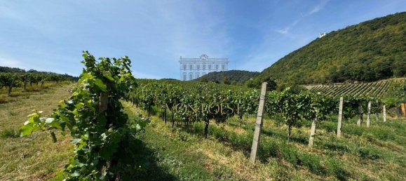 3-Zimmer Penthouse in Döbling, Austria, Nr. 135873 17