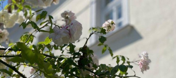 3-Zimmer Penthouse in Döbling, Austria, Nr. 135873 48