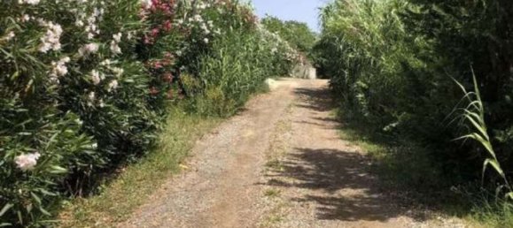 Propriété commerciale à Velletri, Italy 512m² No. 191613 14