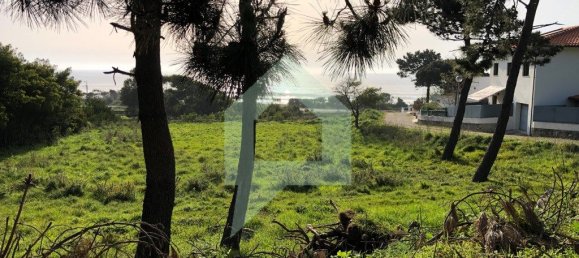 2300m² Land in Caminha, Portugal No. 75486 7