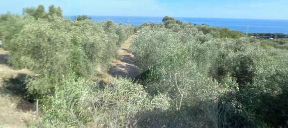 7-Zimmer Villa in Vico del Gargano, Italy, Nr. 18805 16