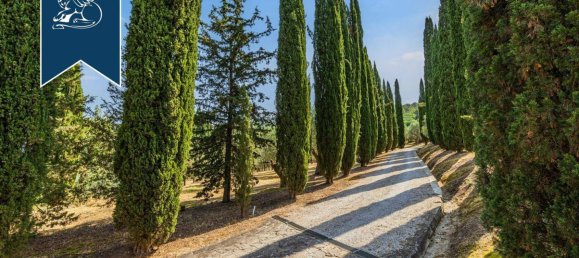 6 rooms Villa in Suvereto, Italy No. 54982 16