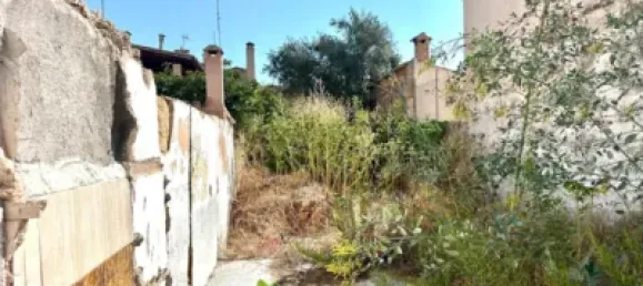  Land in Campos, Spain No. 188511 4