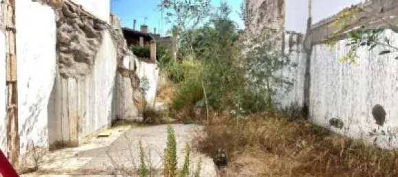  Land in Campos, Spain No. 188511 3