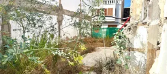  Land in Campos, Spain No. 188511 6