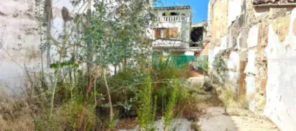  Land in Campos, Spain No. 188511 5