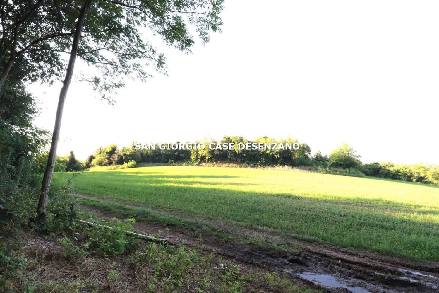 Terreno em Solferino, Italy 110000 m² N.º 282329