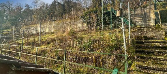 3 bedrooms House in Baden-Wurttemberg, Germany No. 18246 29