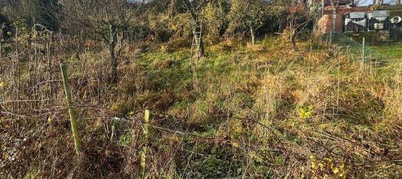 3 bedrooms House in Baden-Wurttemberg, Germany No. 18246 27