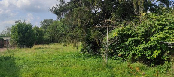 4 Schlafzimmer Haus in Tannay, France, Nr. 269289 9