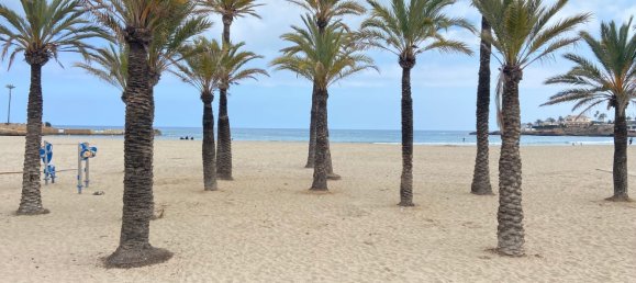 Apartamento de 3 dormitorios en Alicante, Spain No. 79428 38