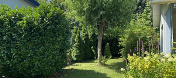 Terreno en Gotzendorf an der Leitha, Austria No. 192790 10