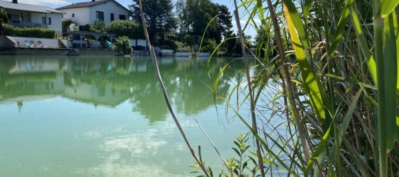 Terreno en Gotzendorf an der Leitha, Austria No. 192790 4