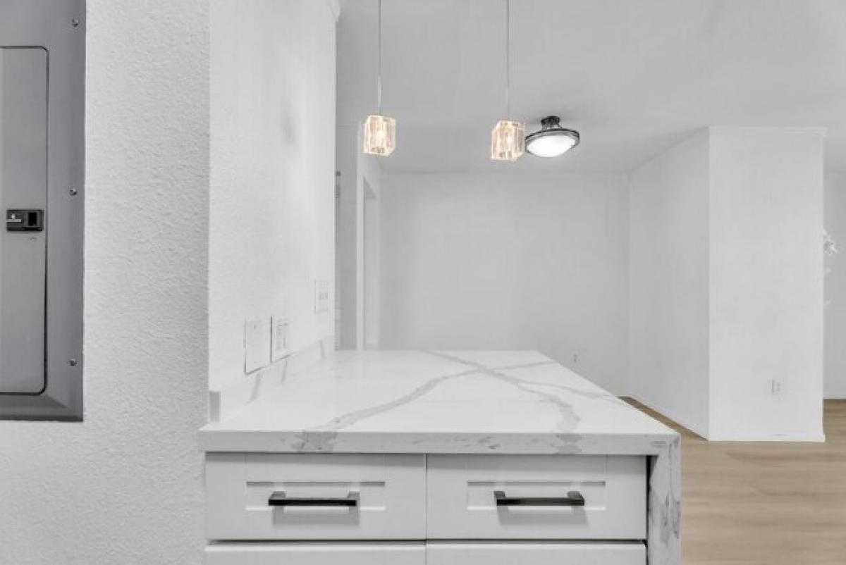 Студия в Сан Франциско, США № 198923