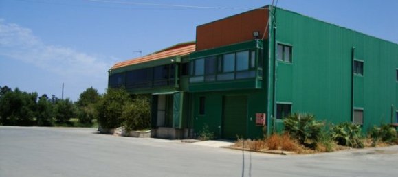 Property in Heraklion, Greece 2000m², Nr. 4964 10
