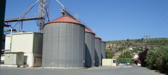 Property in Heraklion, Greece 2000m², Nr. 4964 9