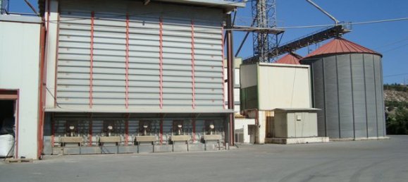 Property in Heraklion, Greece 2000m², Nr. 4964 8