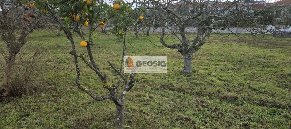 Casa de 4 dormitorios en Rosario, Portugal No. 11847 13
