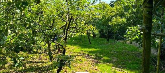 Grundstück in Bergamo, Italy 800m², Nr. 379271 10