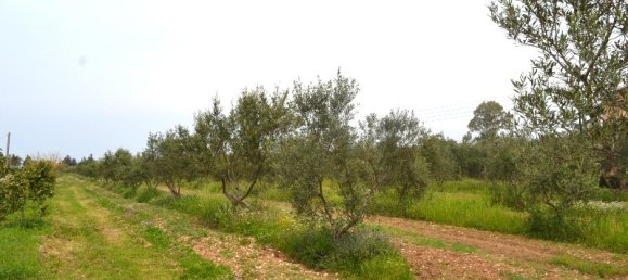  فندق في Corfu, Greece 12000متر مربع رقم 7270 5