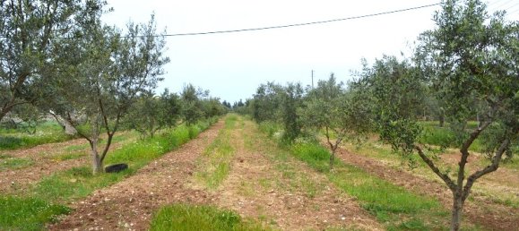  فندق في Corfu, Greece 12000متر مربع رقم 7270 4