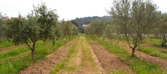  فندق في Corfu, Greece 12000متر مربع رقم 7270 2