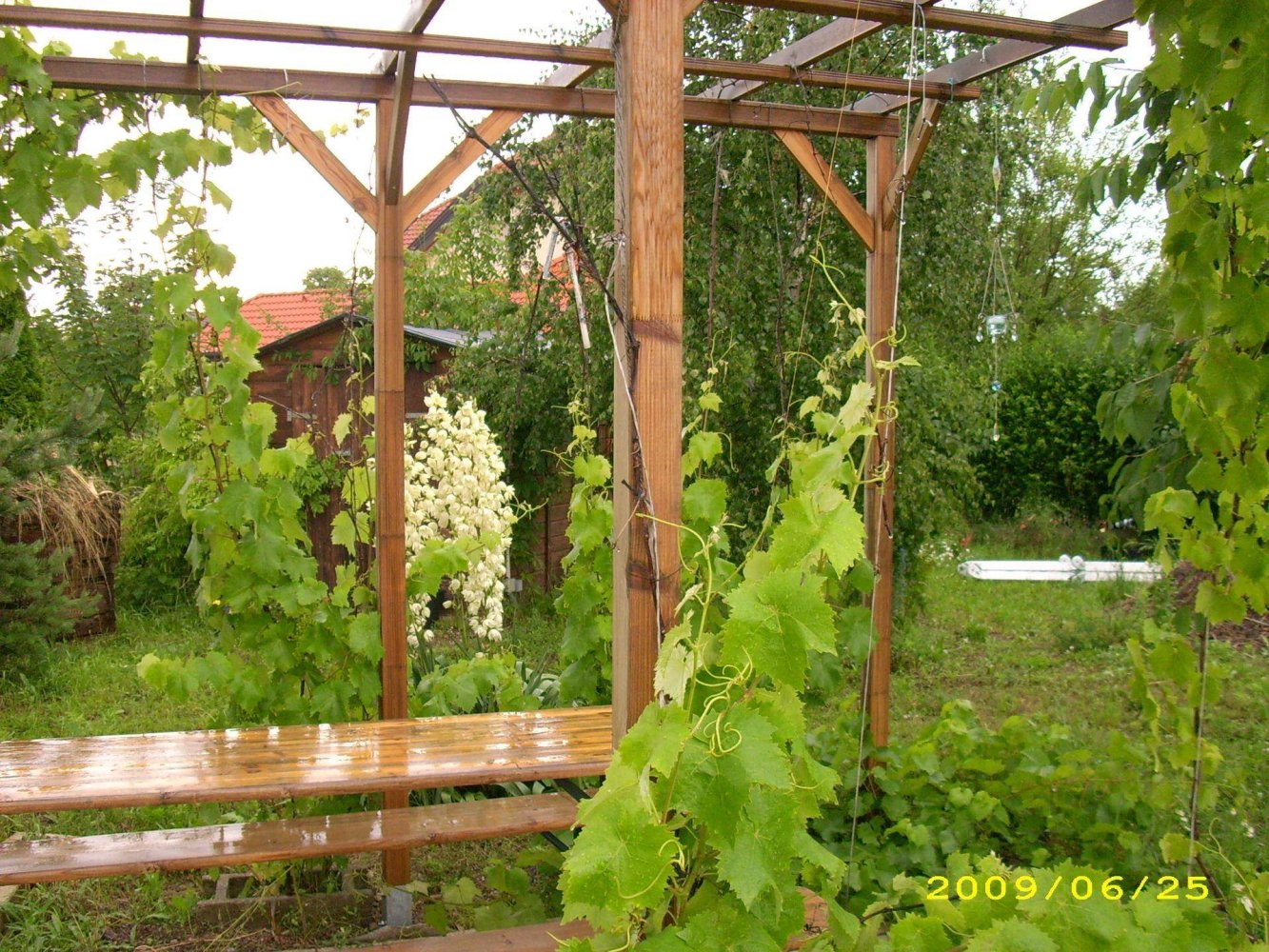 7غرفة منزل في Gunselsdorf, Austria رقم 254268