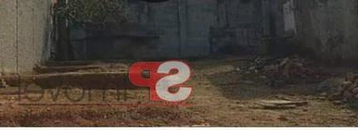 3 Schlafzimmer Haus in Sao Paulo, Brazil, Nr. 541345