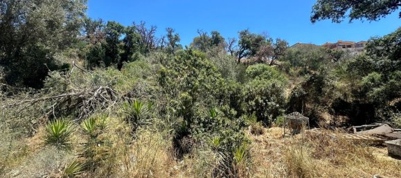  Land in Marbella, Spain No. 149141 2